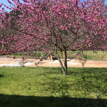Pensjonat Spaziosa Camera Tripla Con Giardino Ascoli Piceno