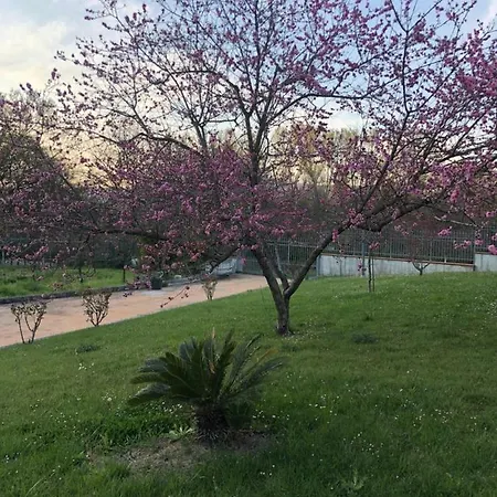 Spaziosa Camera Tripla Con Giardino Guest house